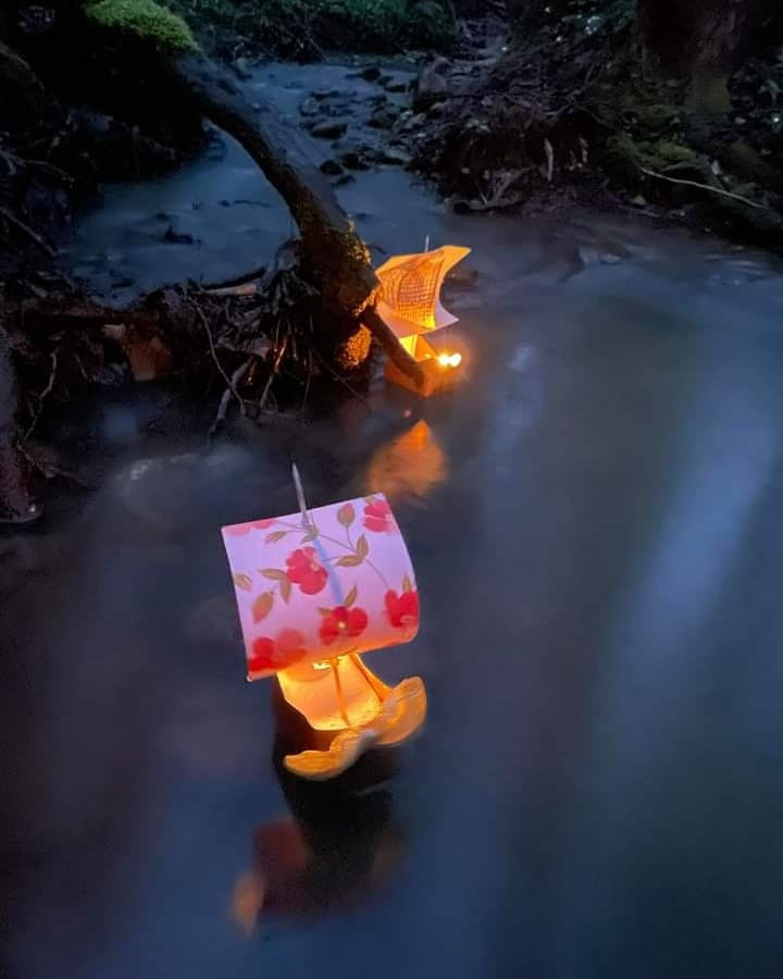 Spuščanje gregorčkov