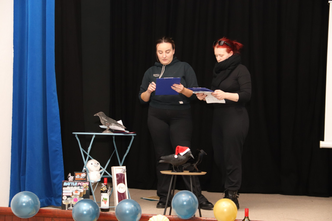 Ta veseli dan kulture