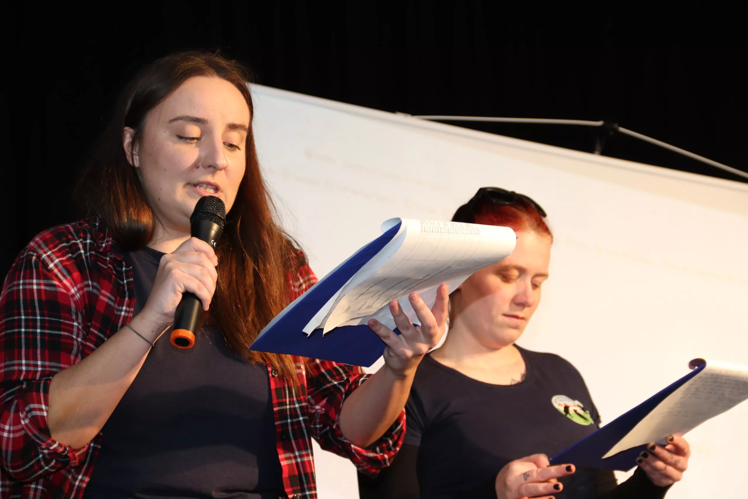 Ta veseli dan kulture