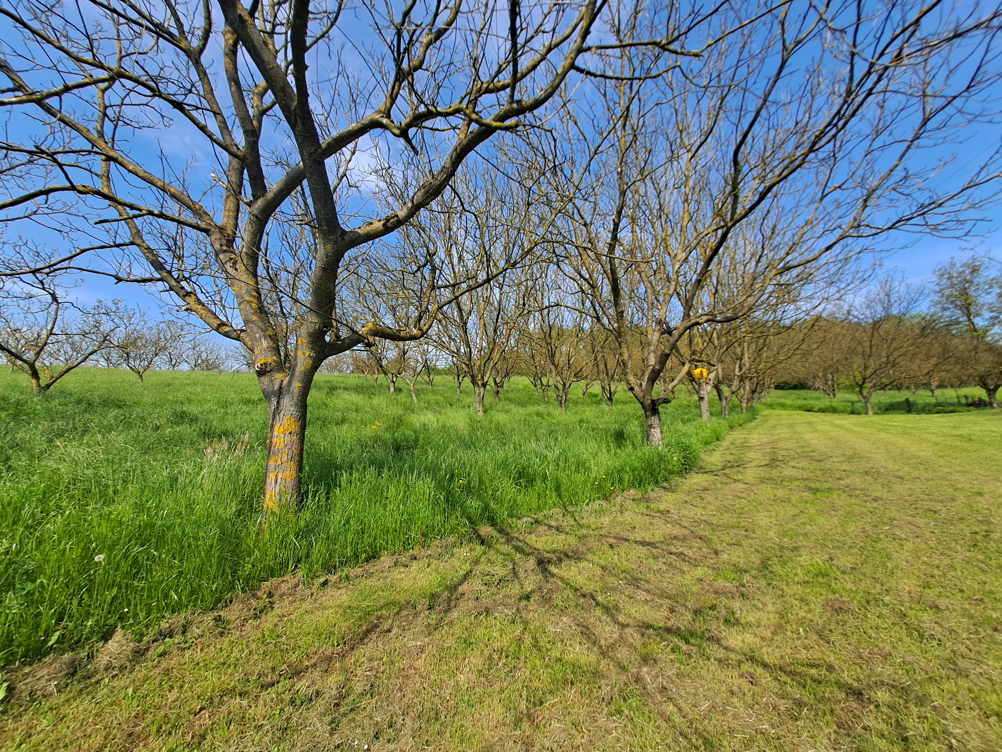 Udeležili smo se pohoda in ocvirkijade