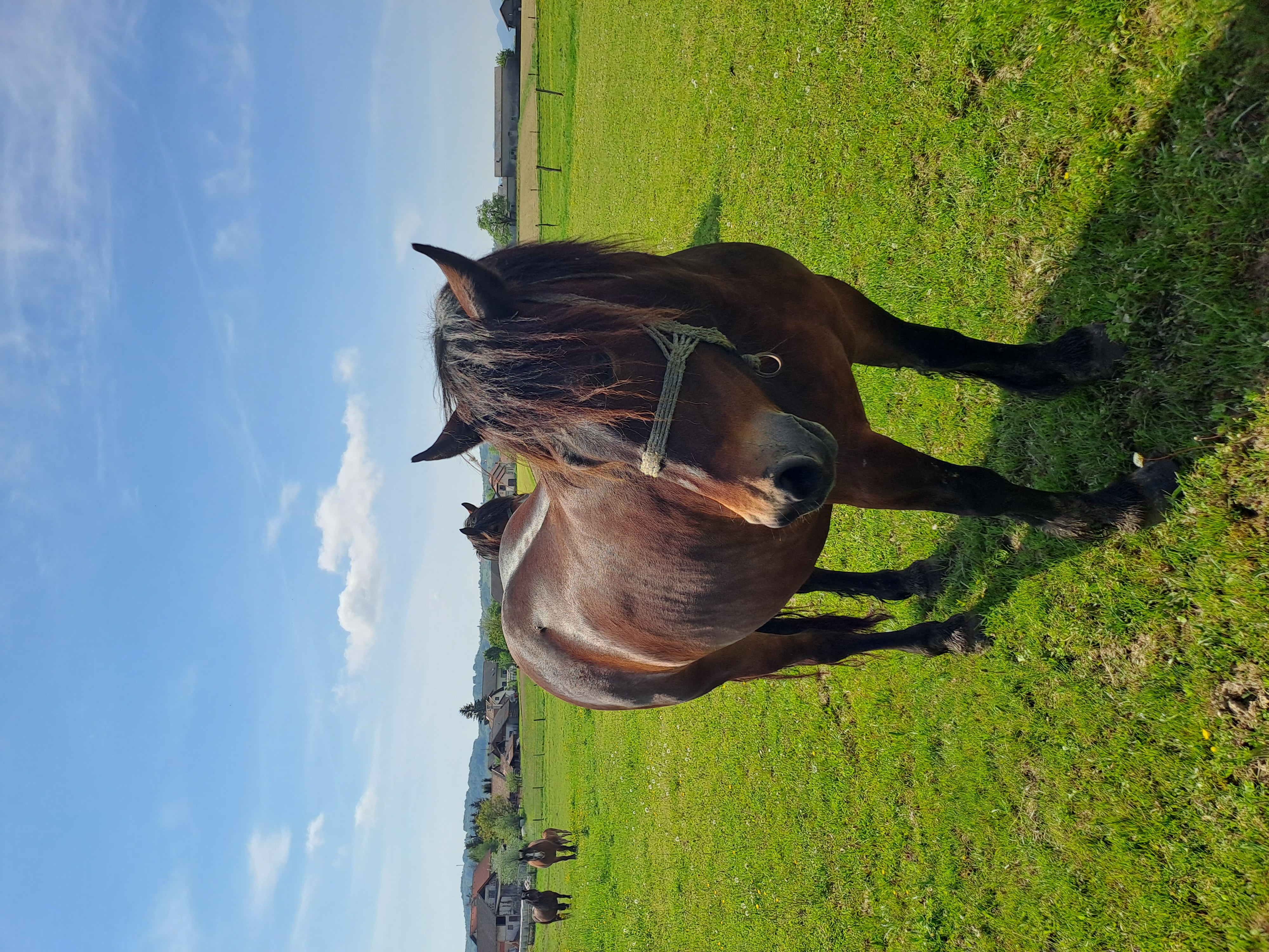 Udeležili smo se pohoda in ocvirkijade