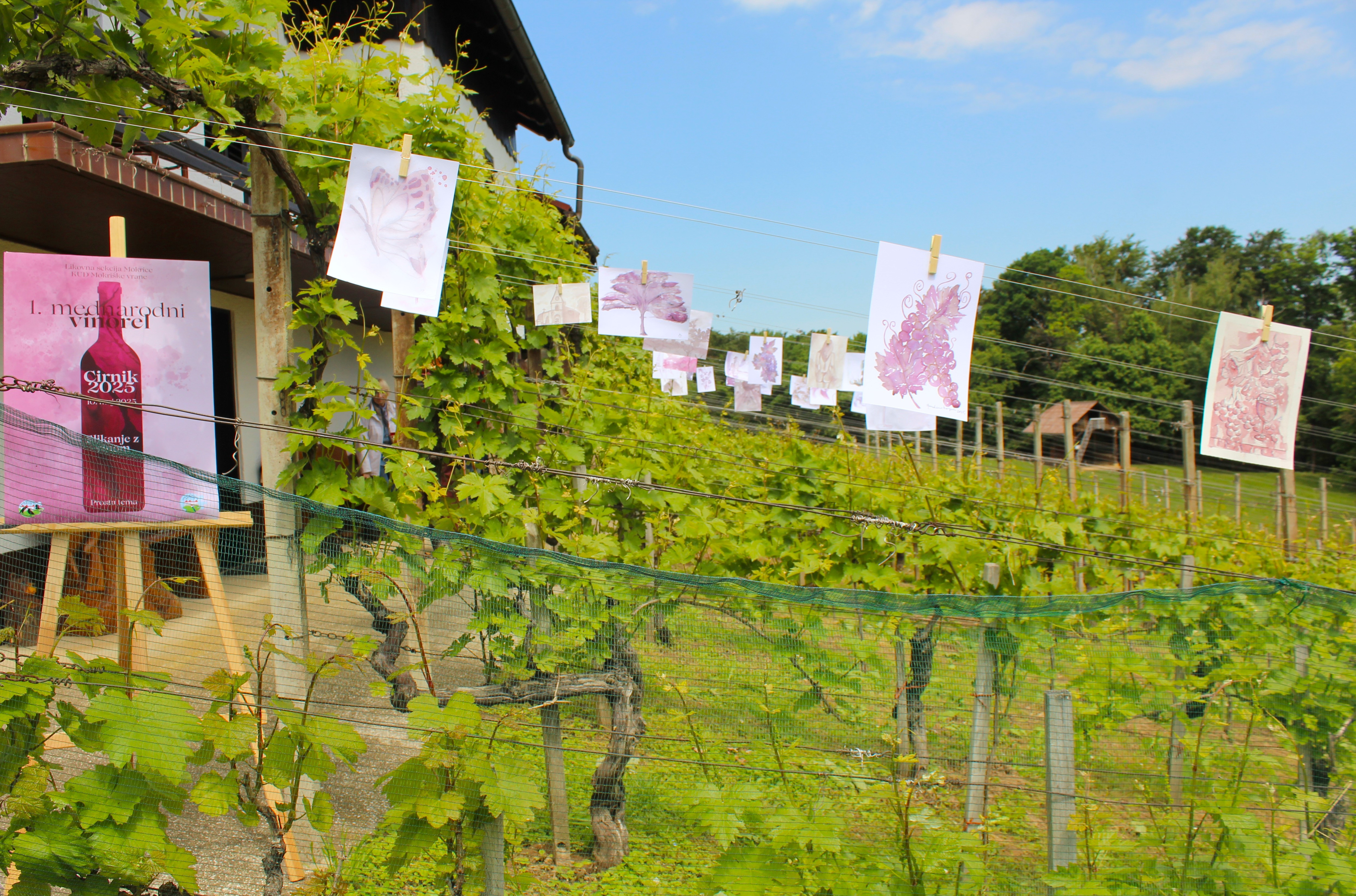 Vinorel Cirnik 2025