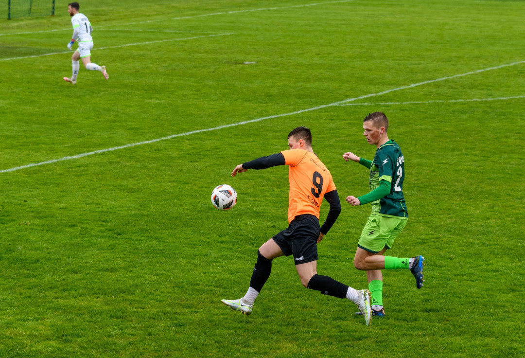 Borna o preobratu za zmago proti Vidmu