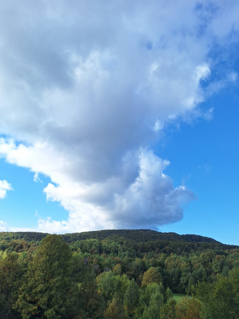 Društveni pohod na Planino v Podbočju