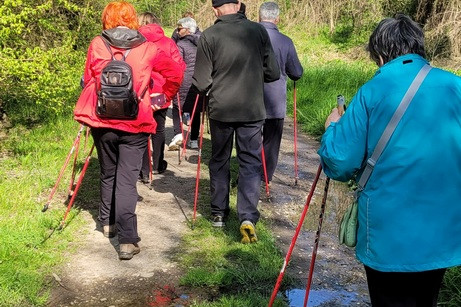 Gibanje za zdravje po nordijsko
