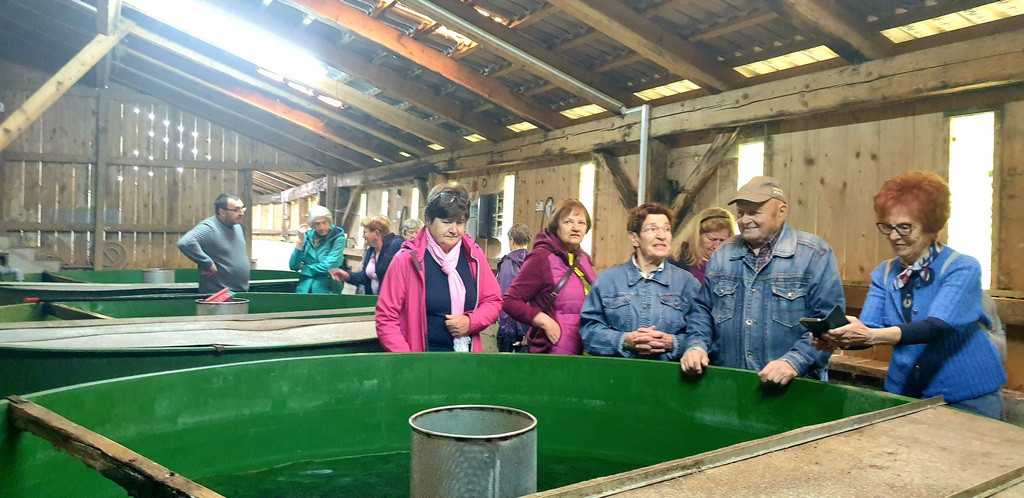 Od ikre do ponve je kar dolga pot, tudi dve leti.