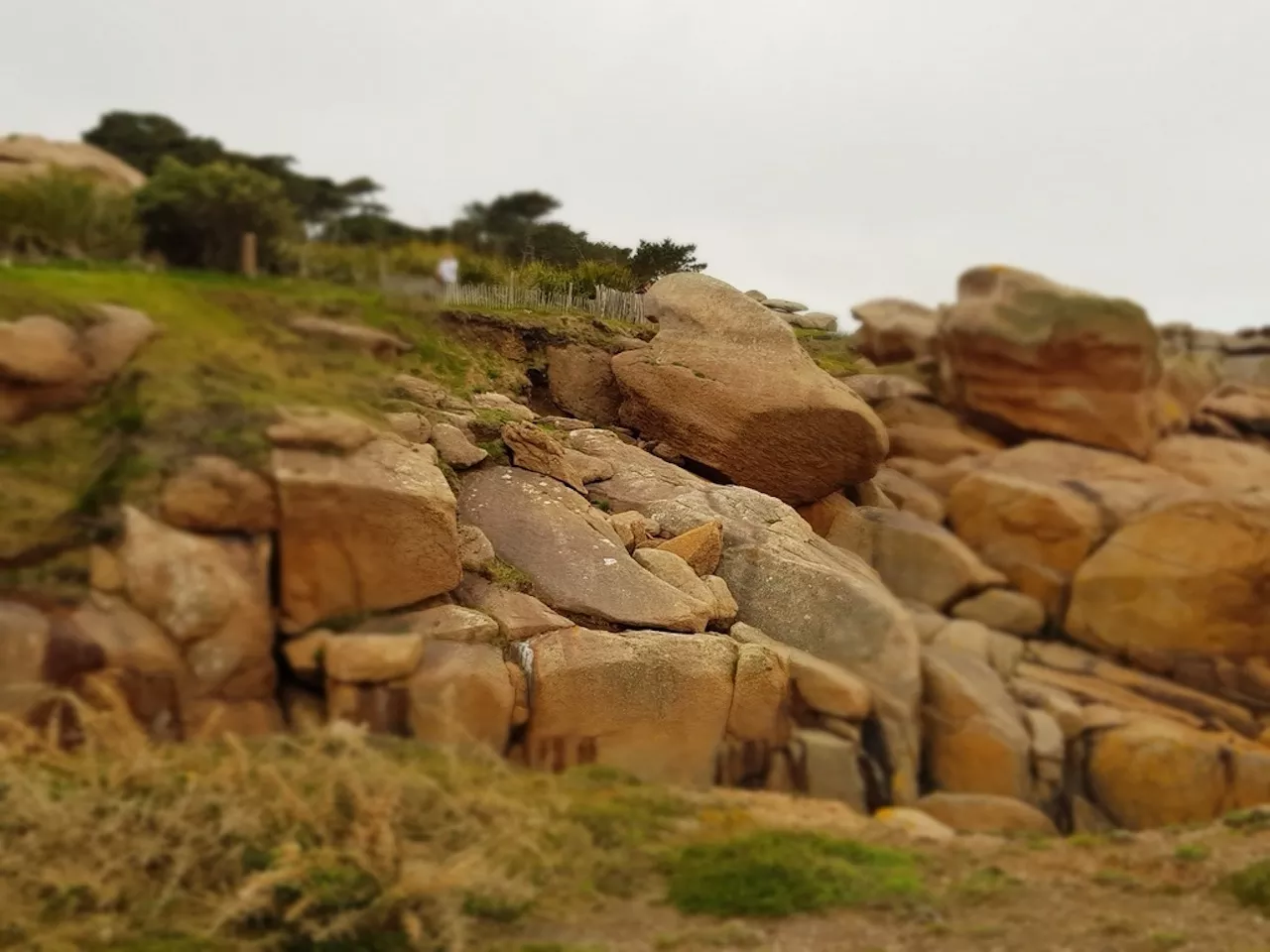 Osteotlon Krško 2023