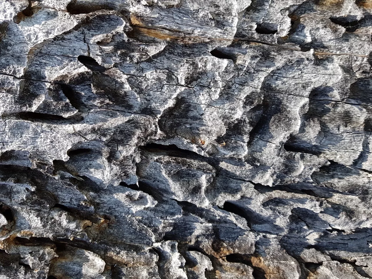 Pohod po Bizeljskem 2023