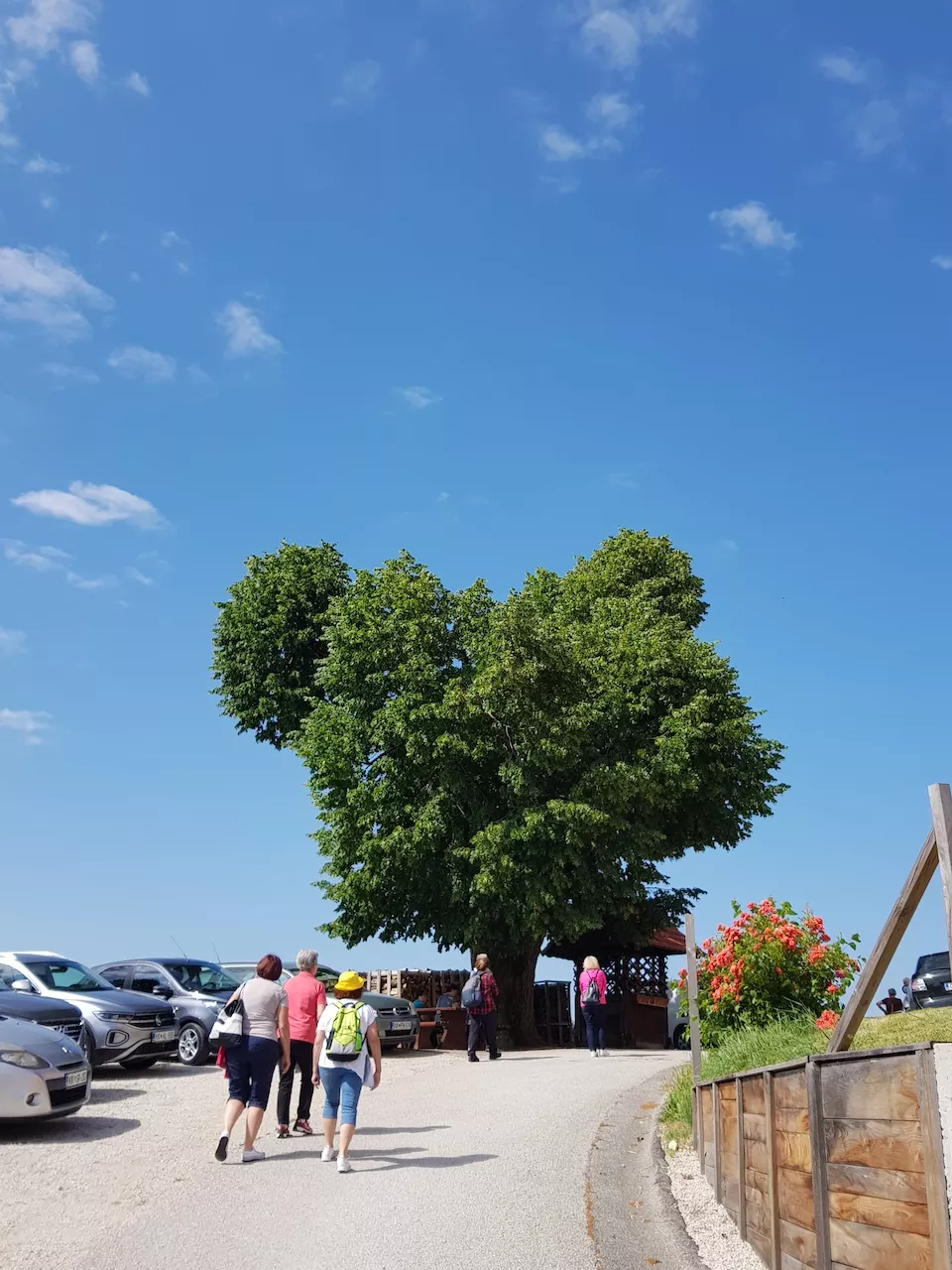 Pohod po Bizeljskem 2023