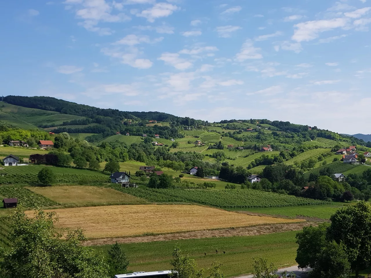 Pohod po Bizeljskem 2023