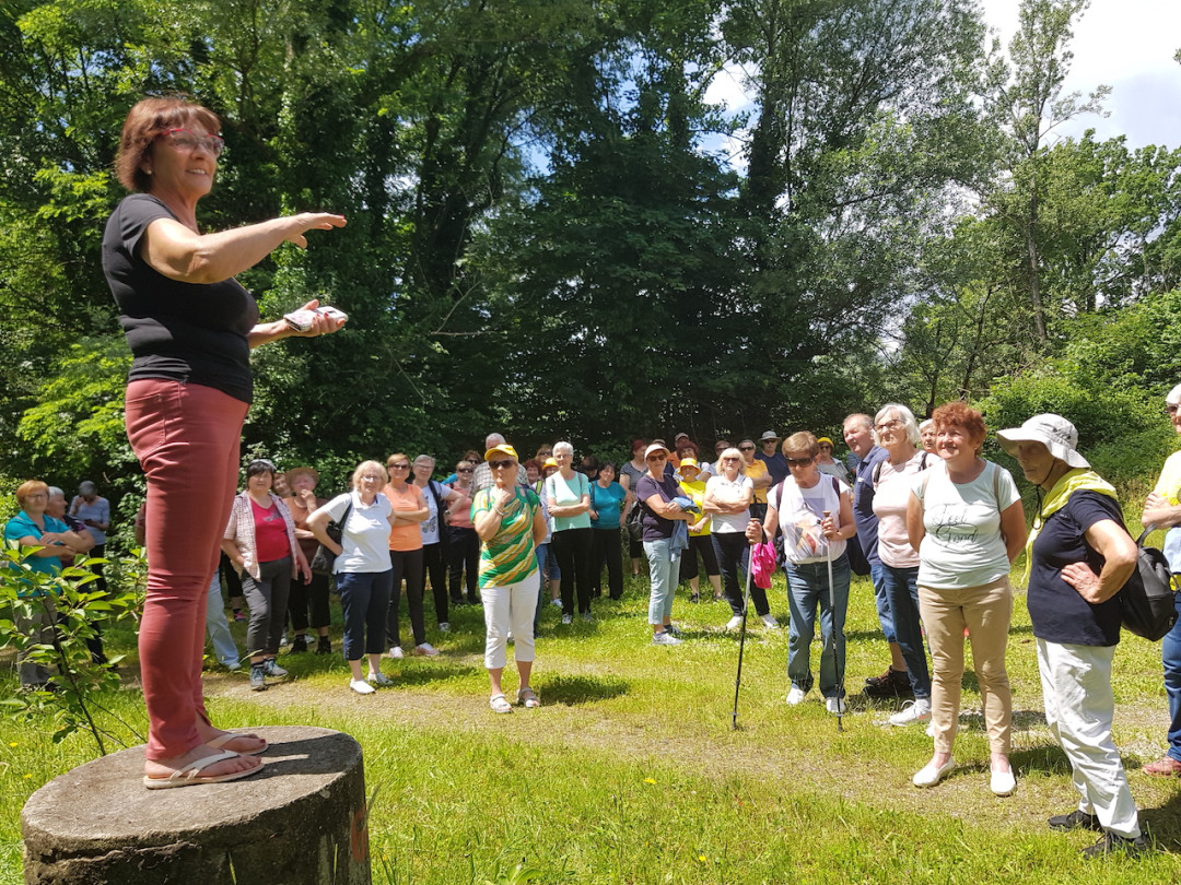 Pohod po Bizeljskem 2023