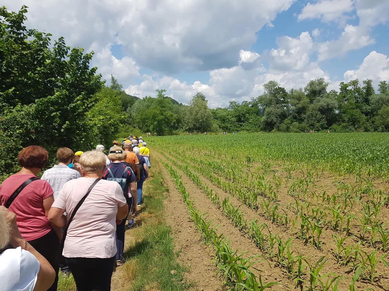 Pohod po Bizeljskem 2023