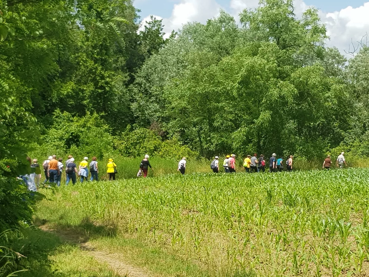 Pohod po Bizeljskem 2023