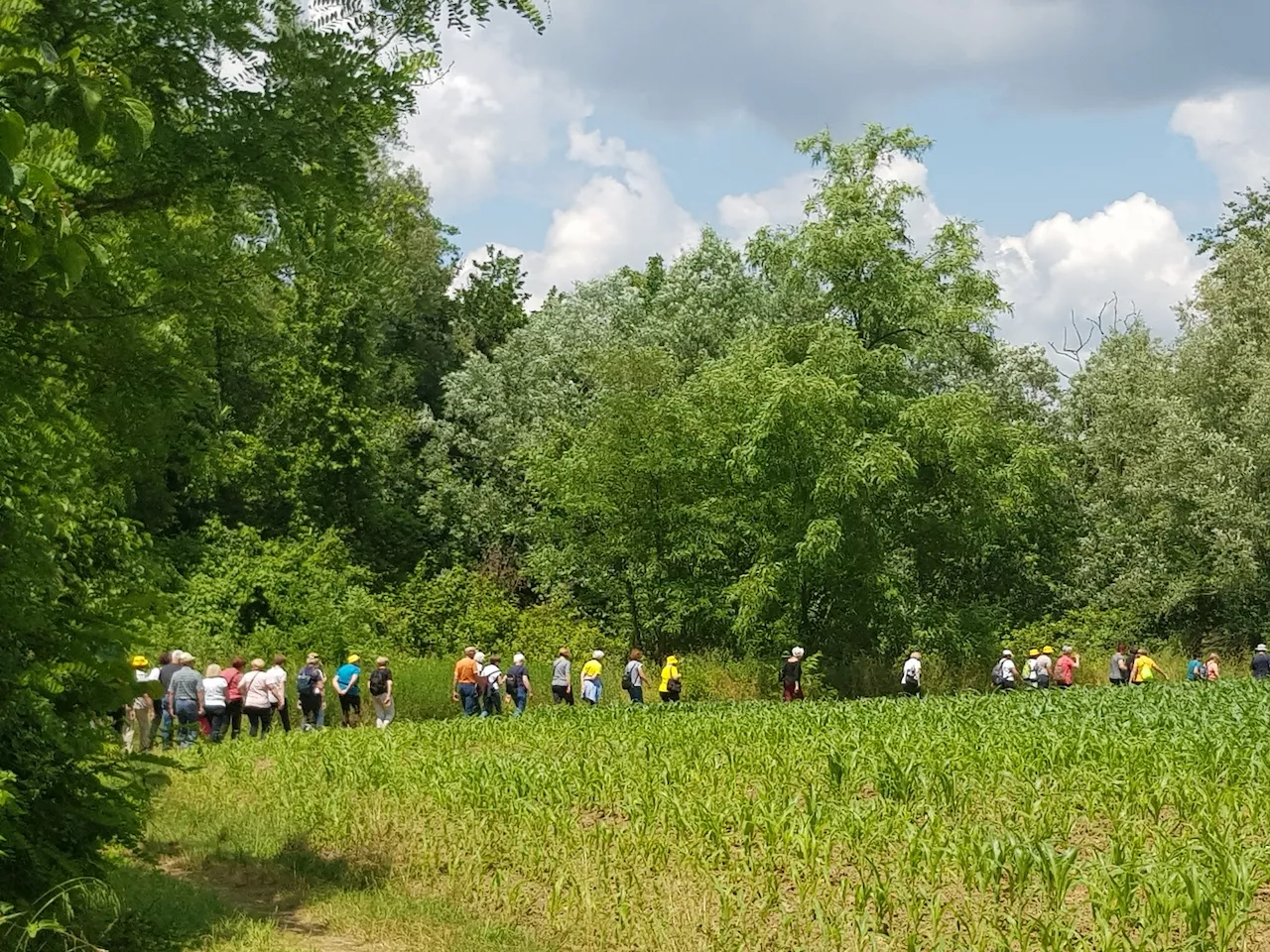 Pohod po Bizeljskem 2023