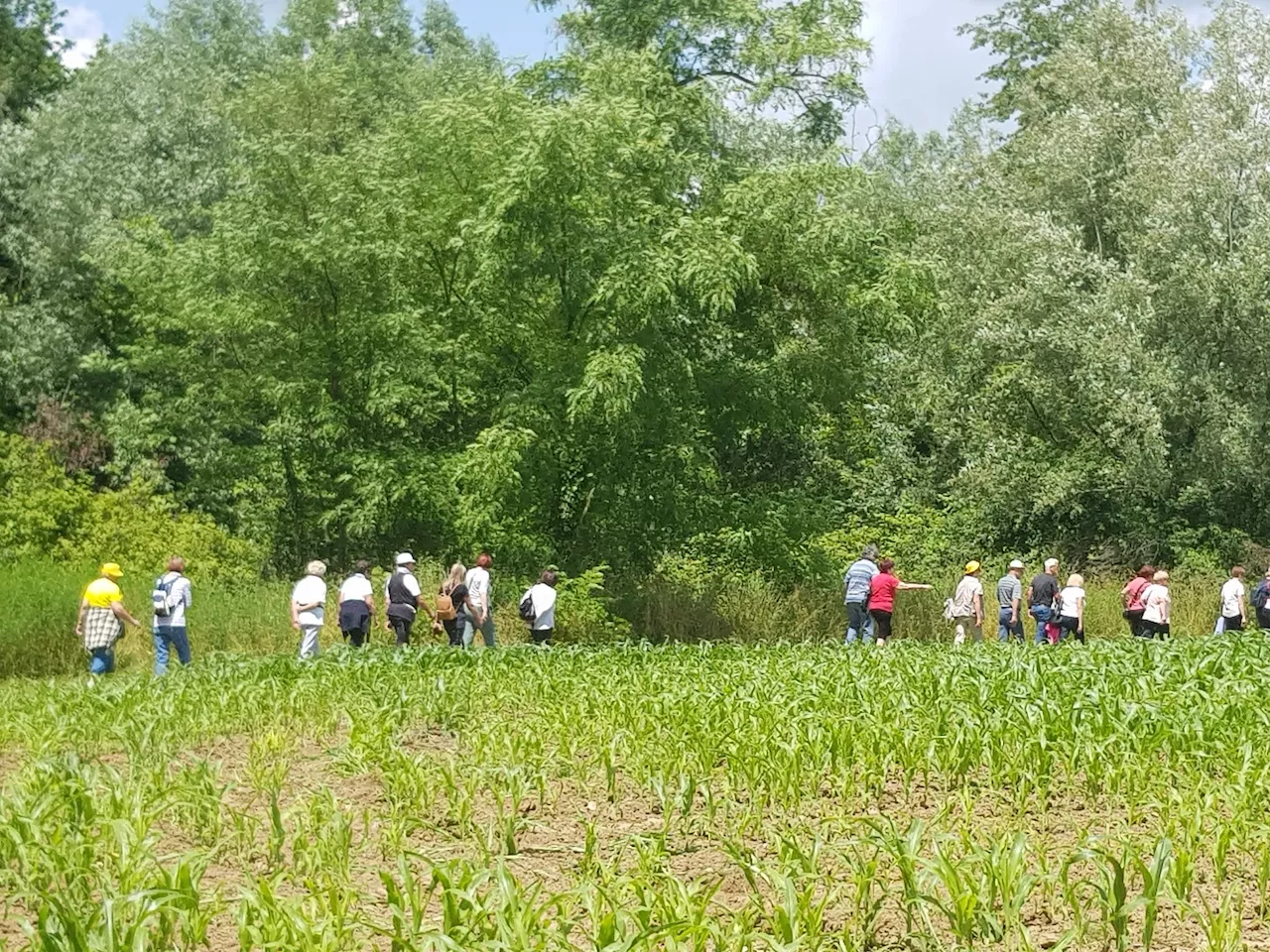 Pohod po Bizeljskem 2023