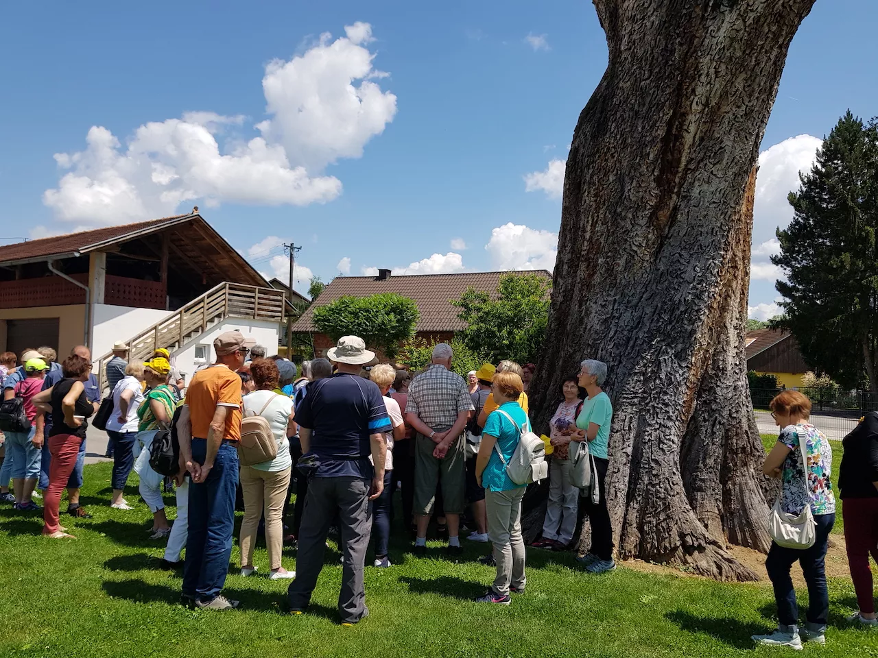 Pohod po Bizeljskem 2023