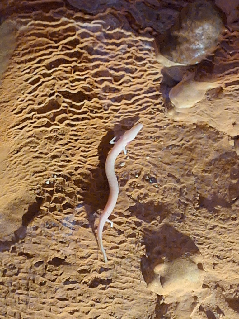 Pozirala je. Sorodnice ima v Postojni.