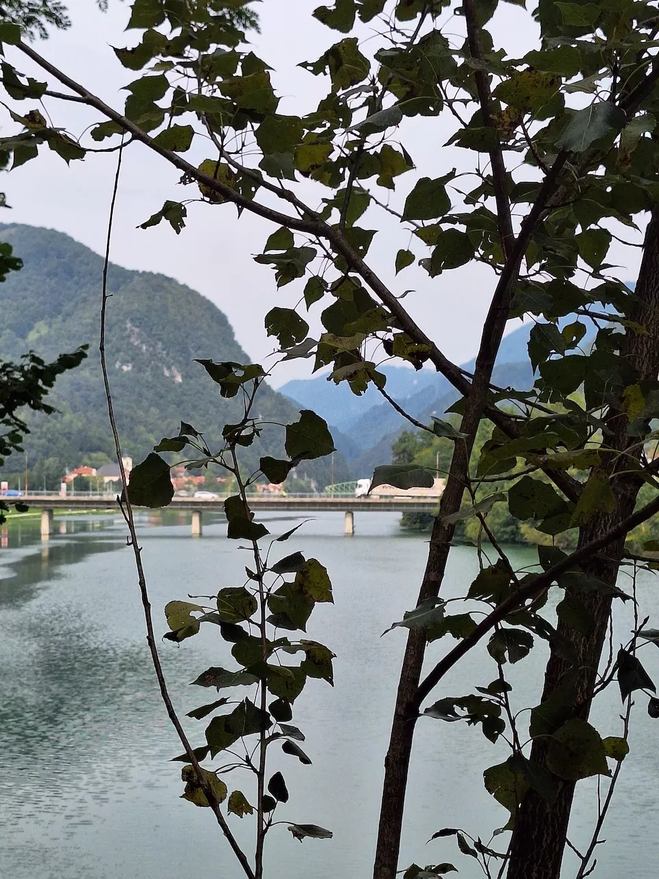 Savus Radeče september 2023