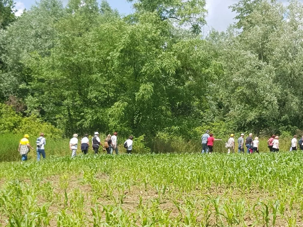 Zaključek po zaključku