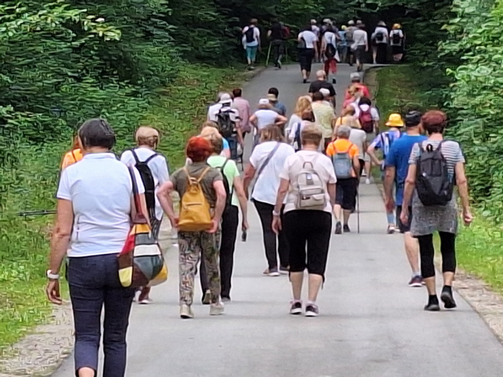 Zavzeli smo celo cesto.