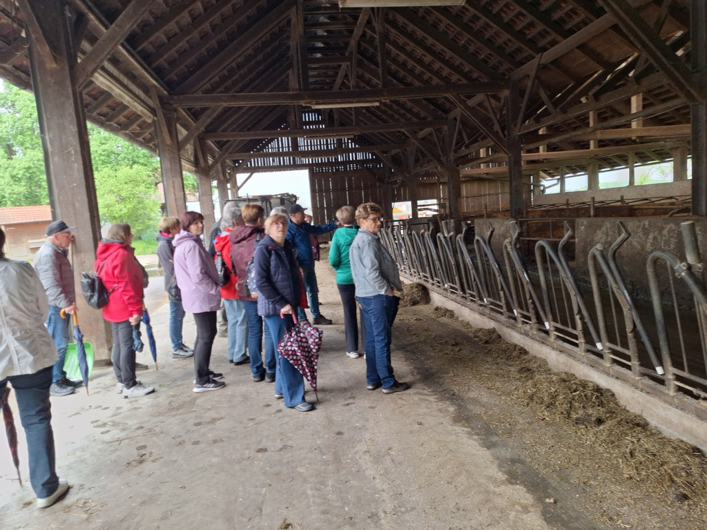 Živina na paši, mi pritrjujemo nazivu