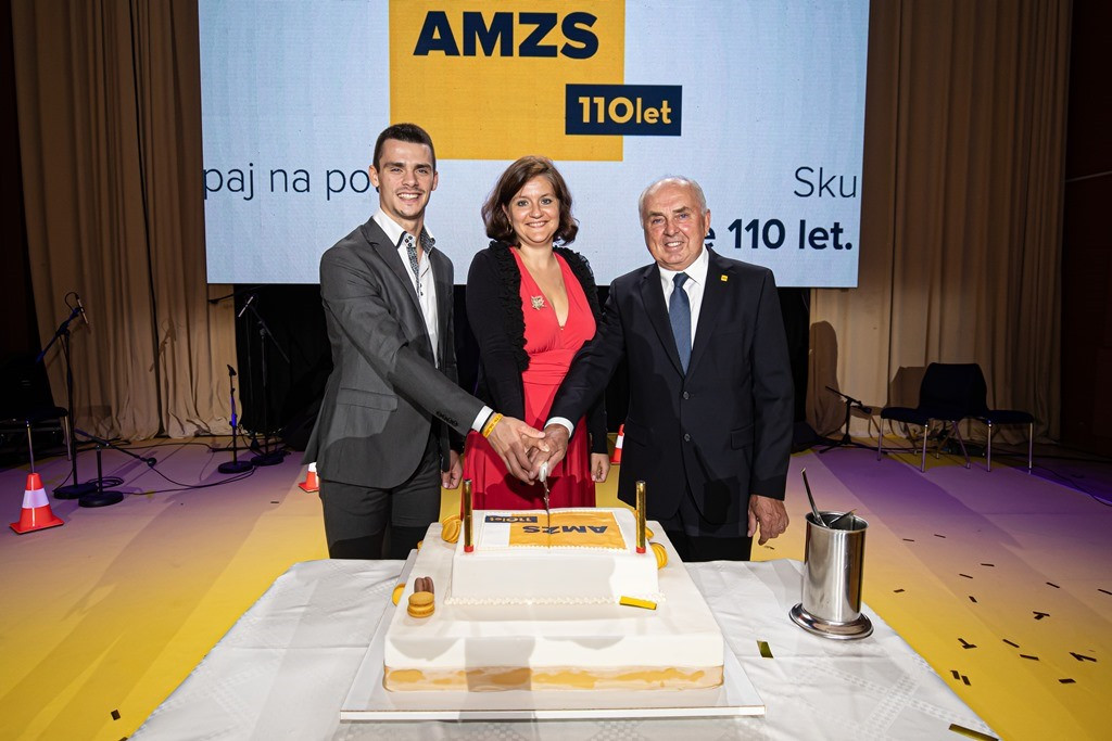 110 let AMZS