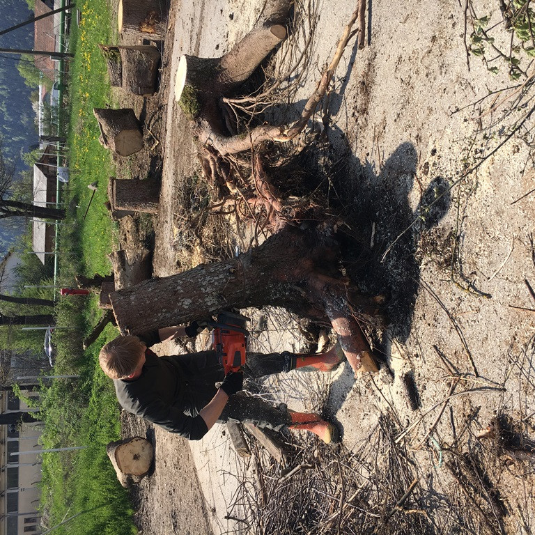 Dan upora proti okupatorju 2018