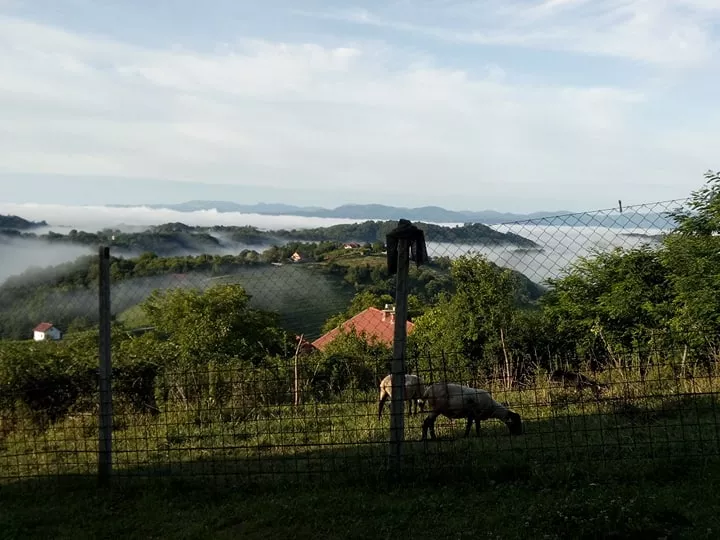 Vabilo v Pišece:  „Moja hiša je tvoj dom“