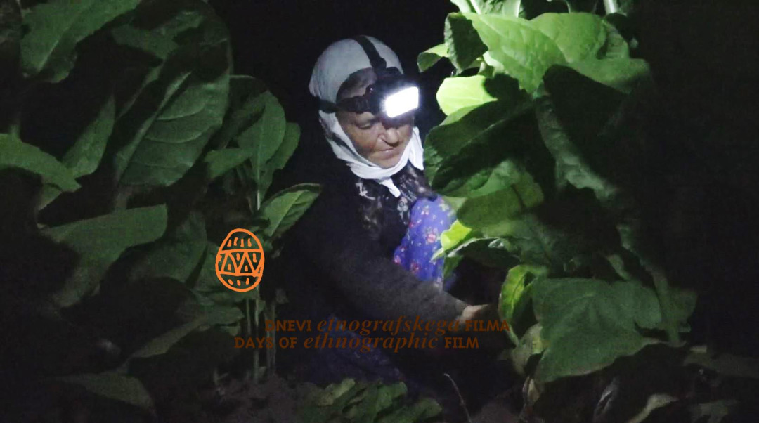DEF: Vidiki vizualne etnografije v Sloveniji: Posvet s filmskim programom