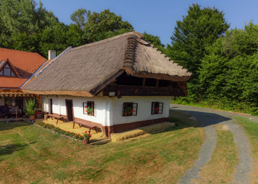 Strokovna ekskurzija SED