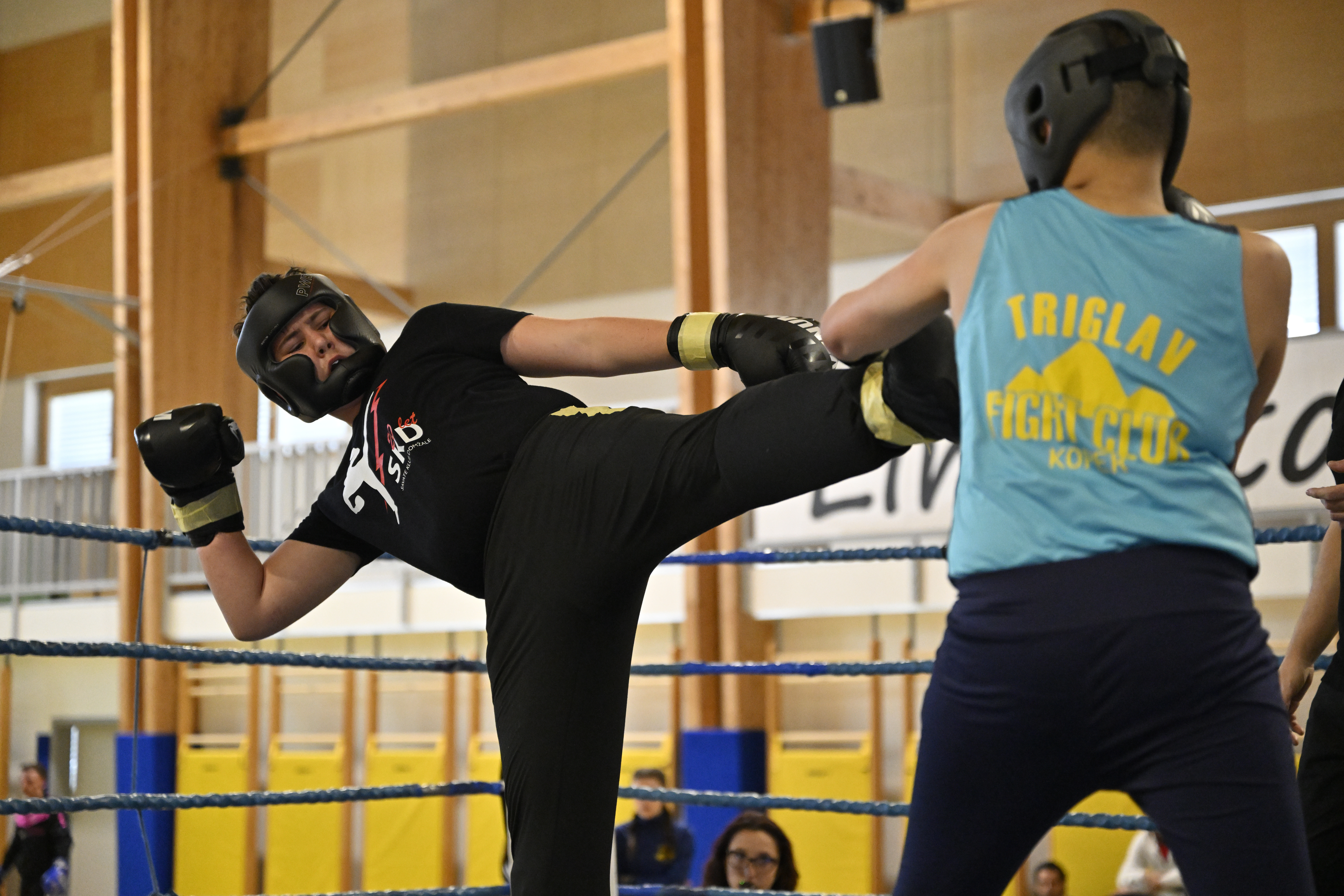 DRŽAVNO SAVATE PRVENSTVO CERKNICA 2026