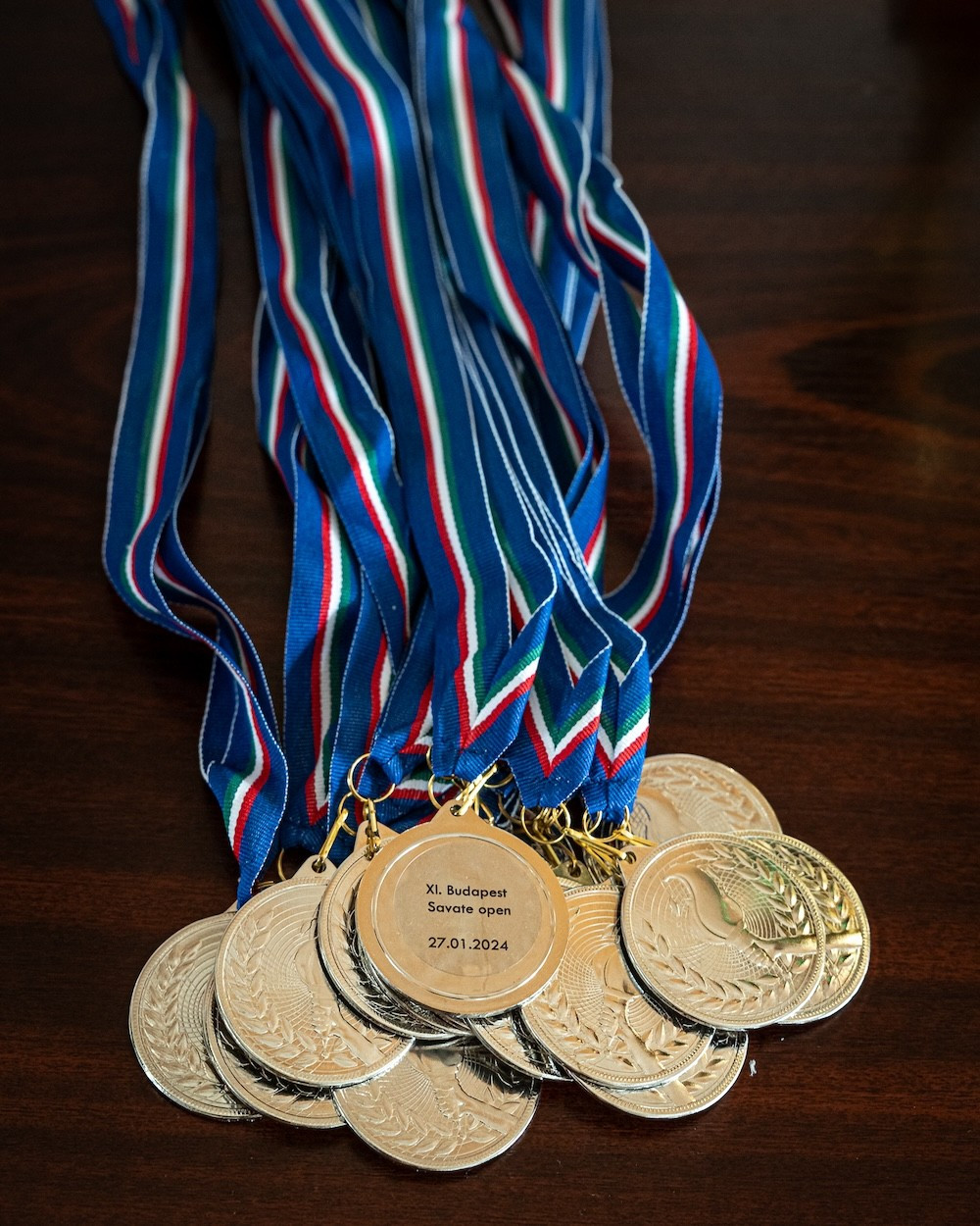 Savate klub Domžale, 11. odprto savate prvenstvo v Budimpešti