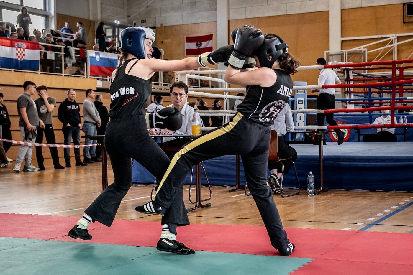 Savate klub Domžale, 11. odprto savate prvenstvo v Budimpešti