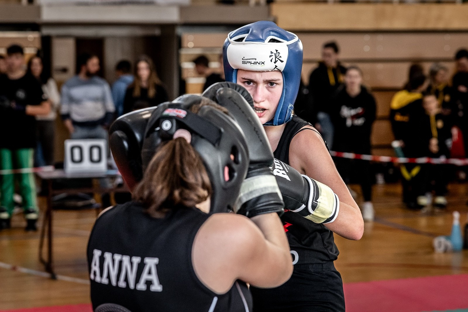 Savate klub Domžale, 11. odprto savate prvenstvo v Budimpešti