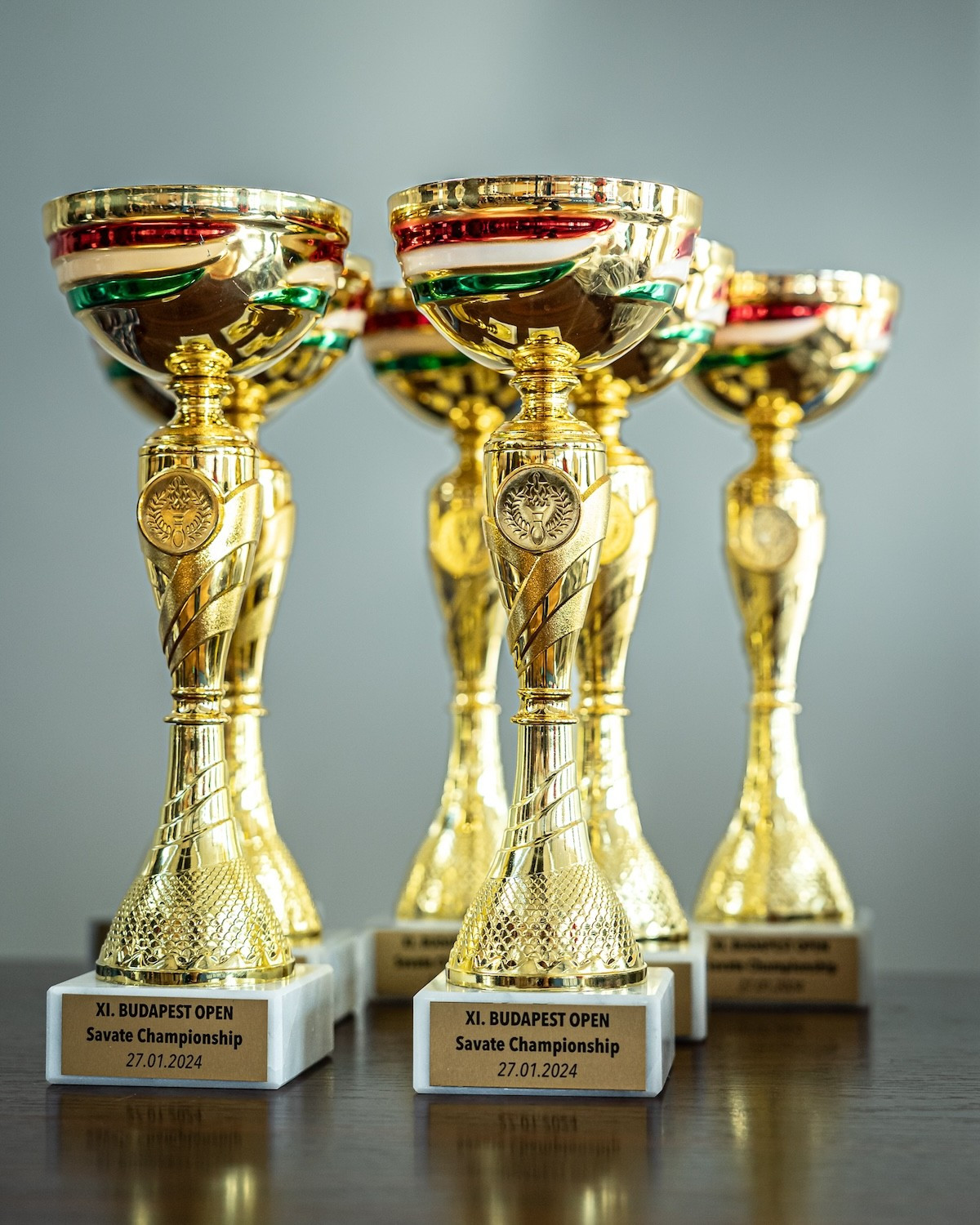 Savate klub Domžale, 11. odprto savate prvenstvo v Budimpešti