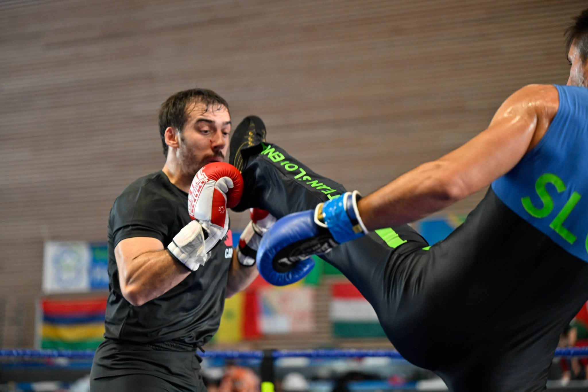 Žan Šubelj, borec Savate kluba Domžale, med najboljšimi na svetovnem članskem prvenstvu v Franciji