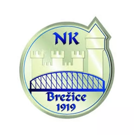 Nogometni klub Brežice 1919