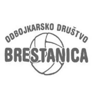 Odbojkarsko društvo Brestanica