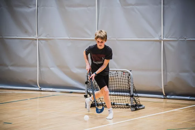 Peking doma - Brežice