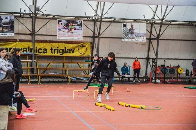 Peking doma - Brežice