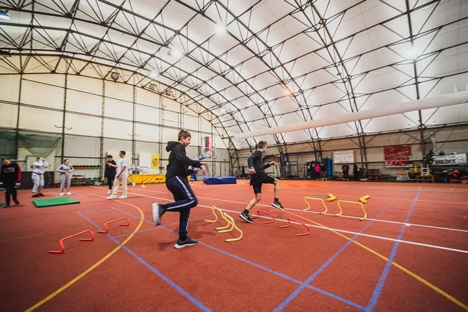 Peking doma - Brežice