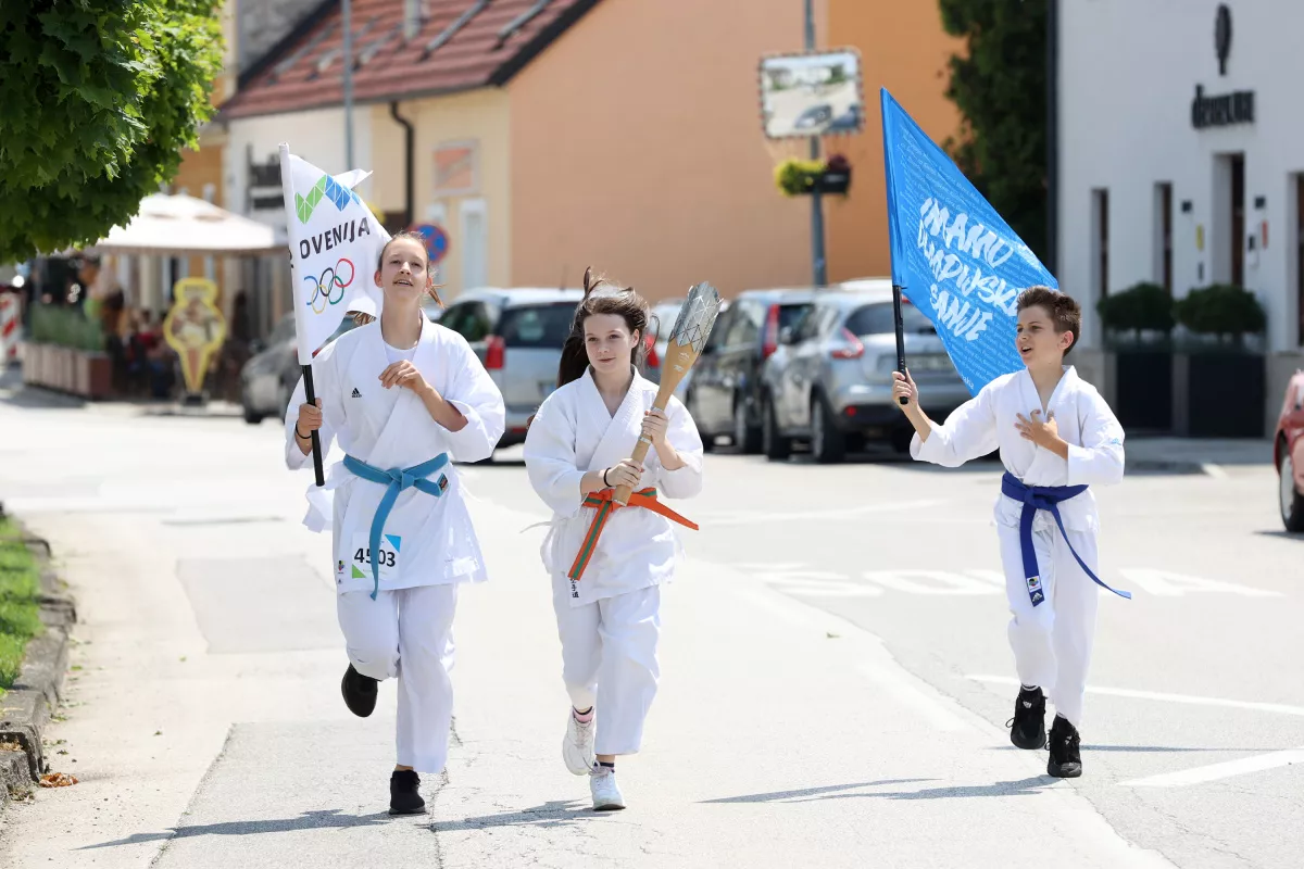 Slovenska bakla v občini Brežice