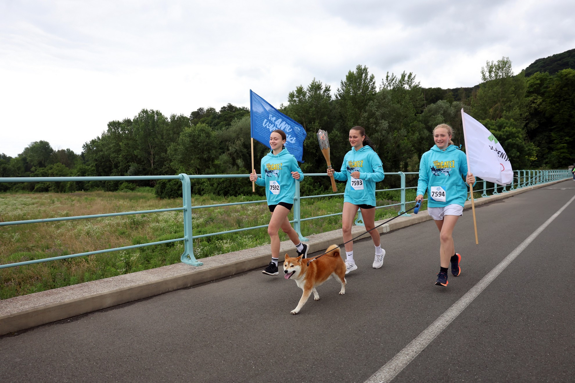 Slovenska bakla v občini Brežice 2024