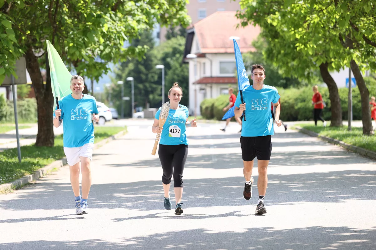 Slovenska bakla v občini Brežice