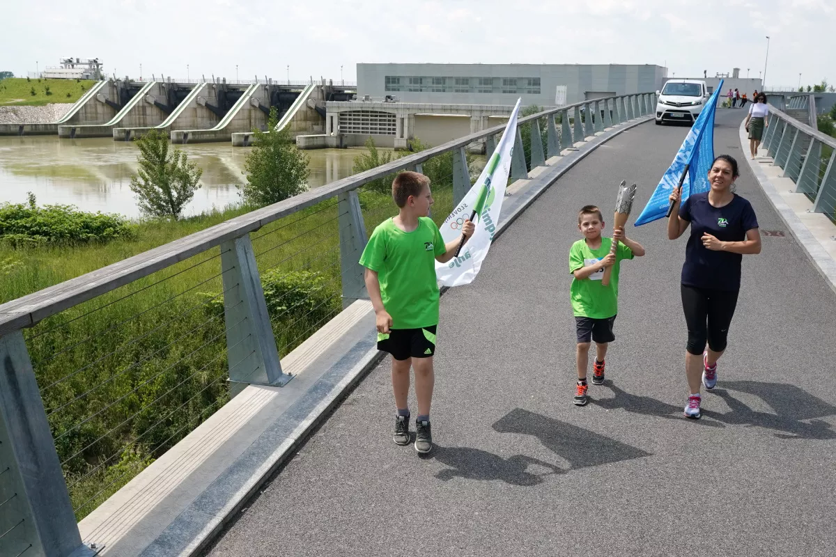Slovenska bakla v občini Brežice