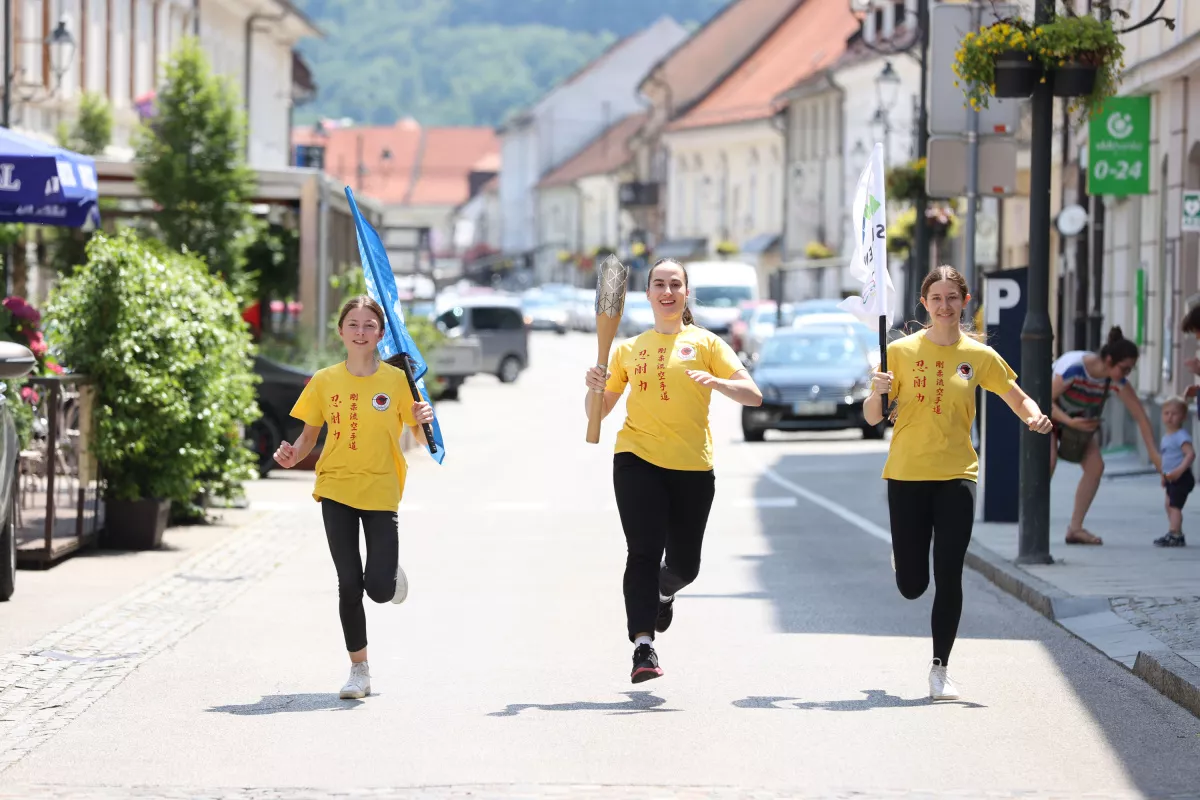 Slovenska bakla v občini Brežice