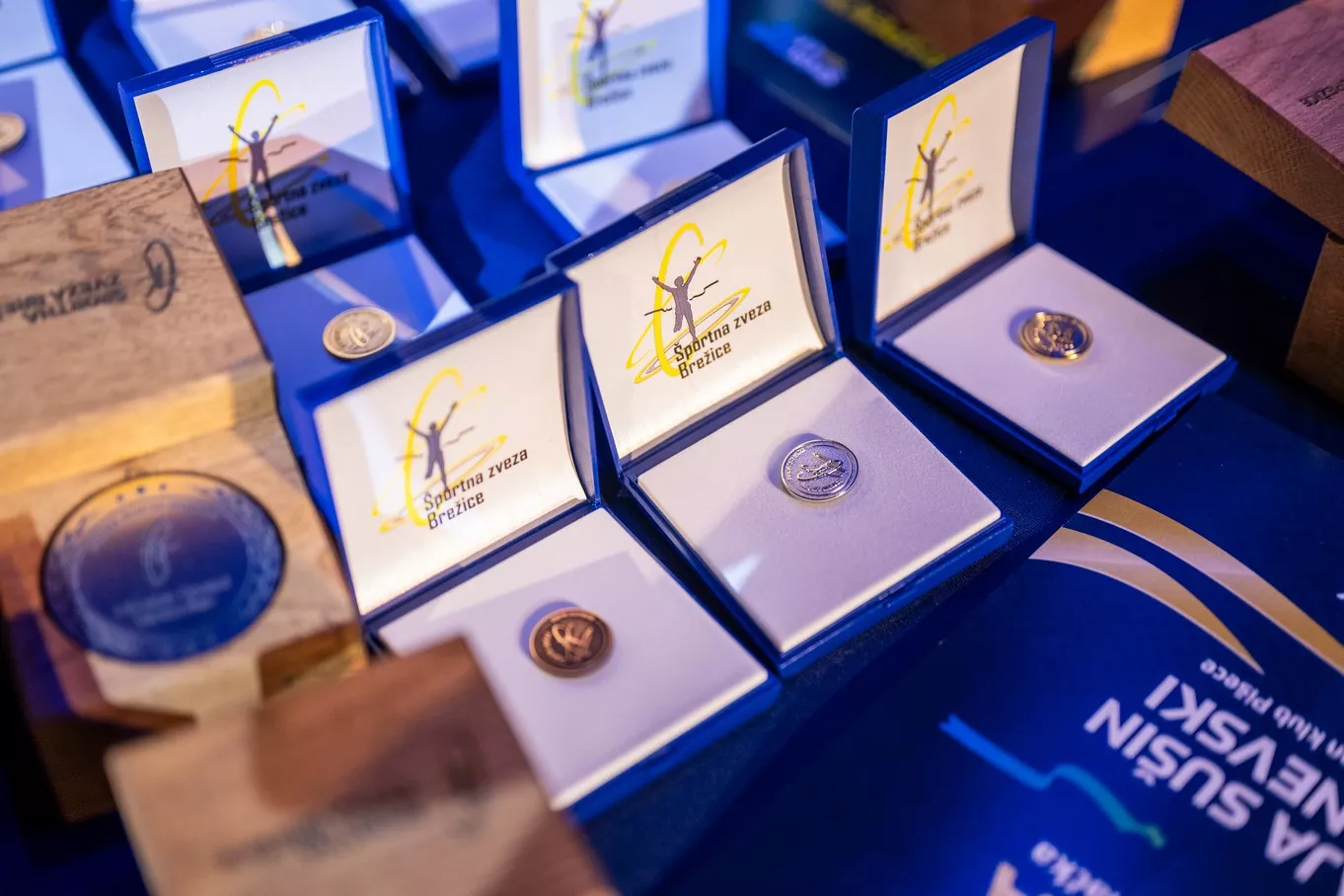 Športnik leta občine Brežice 2023