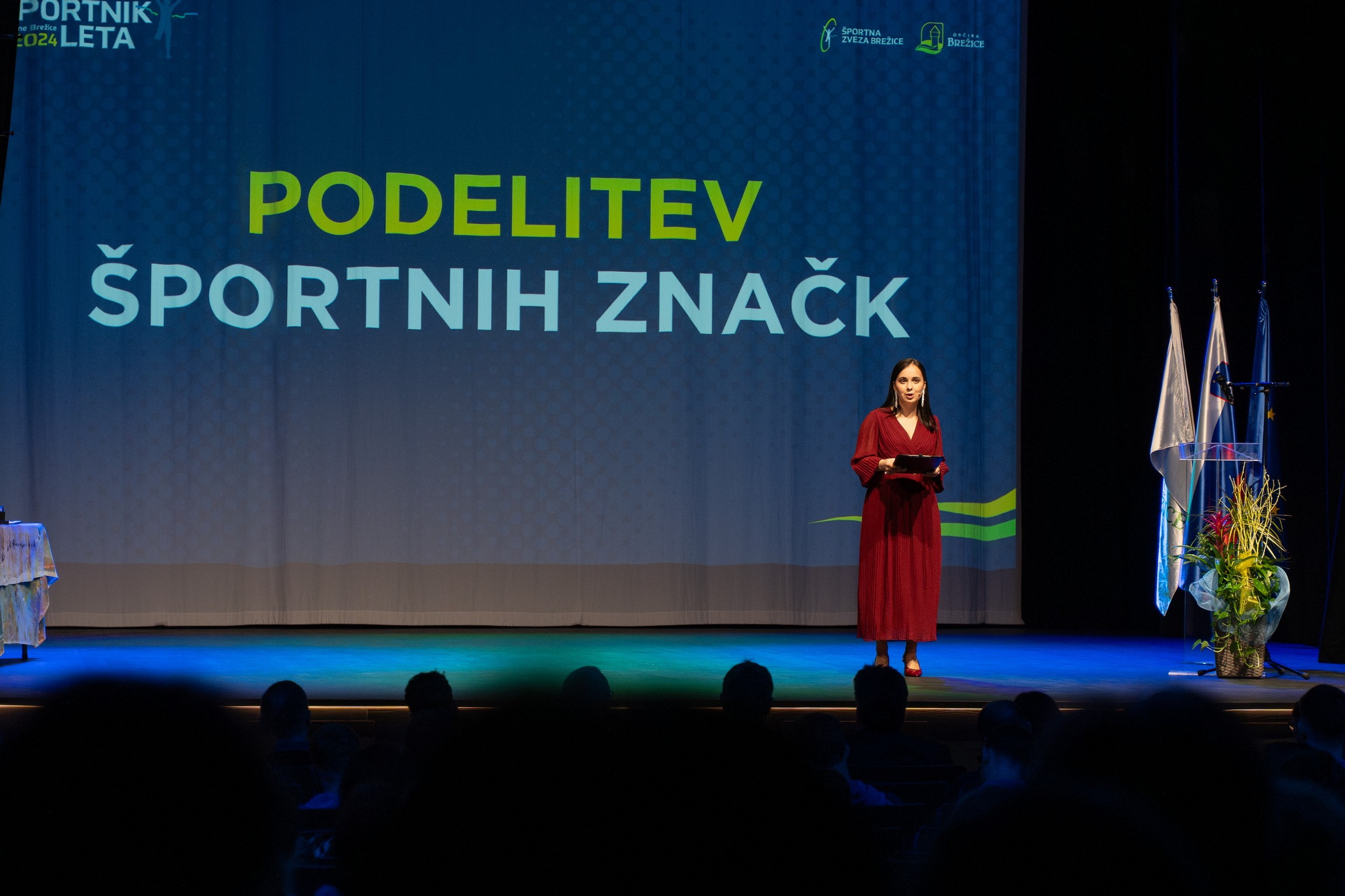 Športnik leta občine Brežice 2024