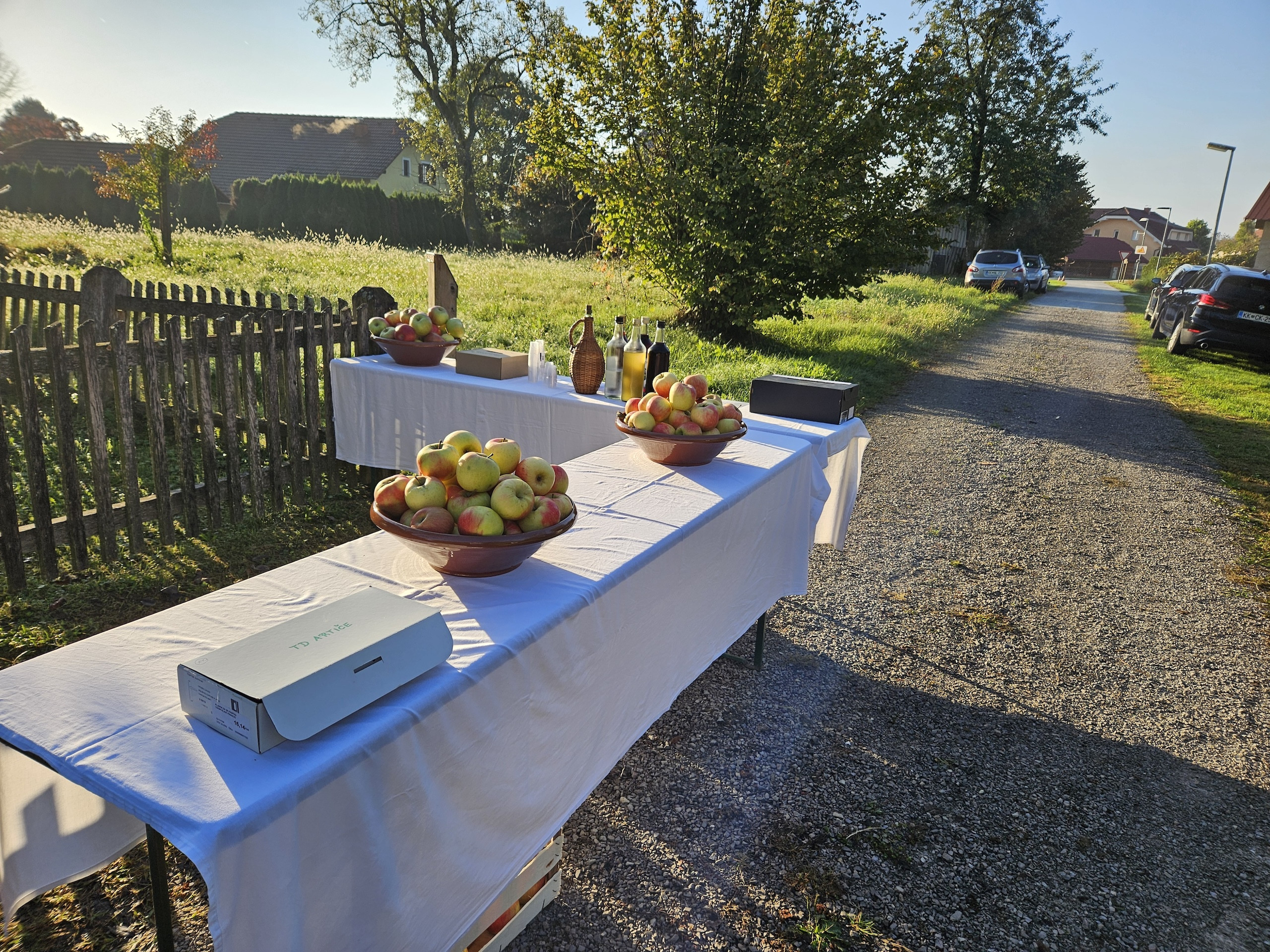 Artiški dnevi 2024 - Domača ekipa in pripravljen prihod na pohodnike