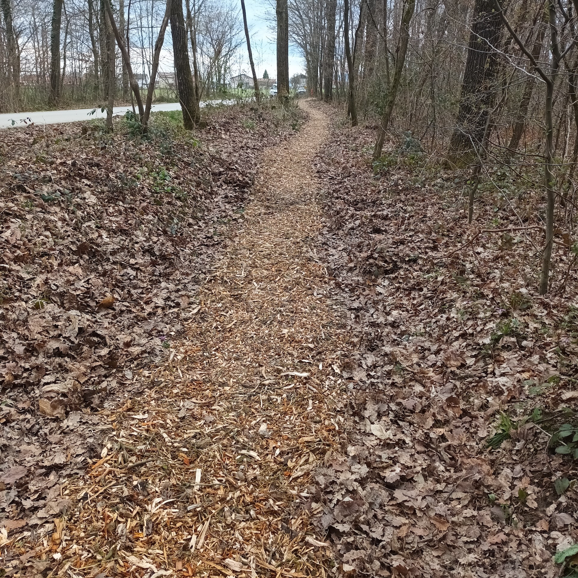 Čistilna akcija »Očistimo krajevno skupnost Artiče« 2025